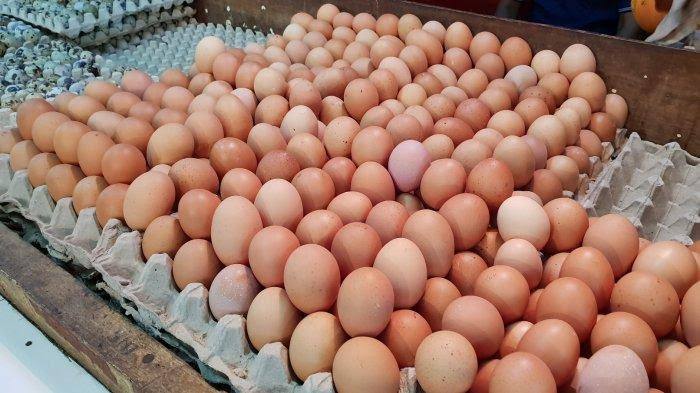 Harga Telur Ayam di Pasaran Anjlok, Ini Penyebabnya