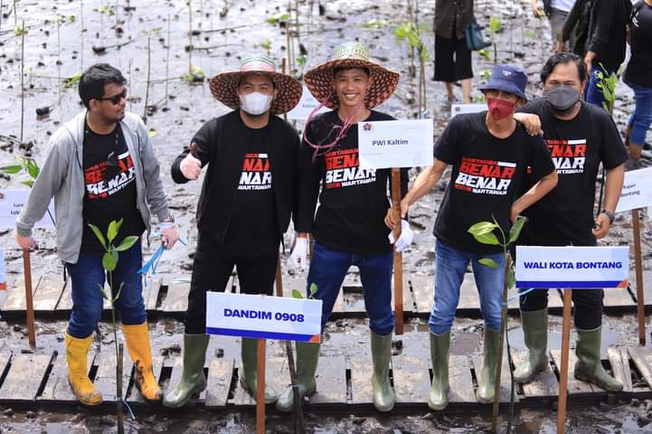 Dukung Pelestarian Lingkungan, PWI Bontang Tanam 1.000 Bibit Mangrove