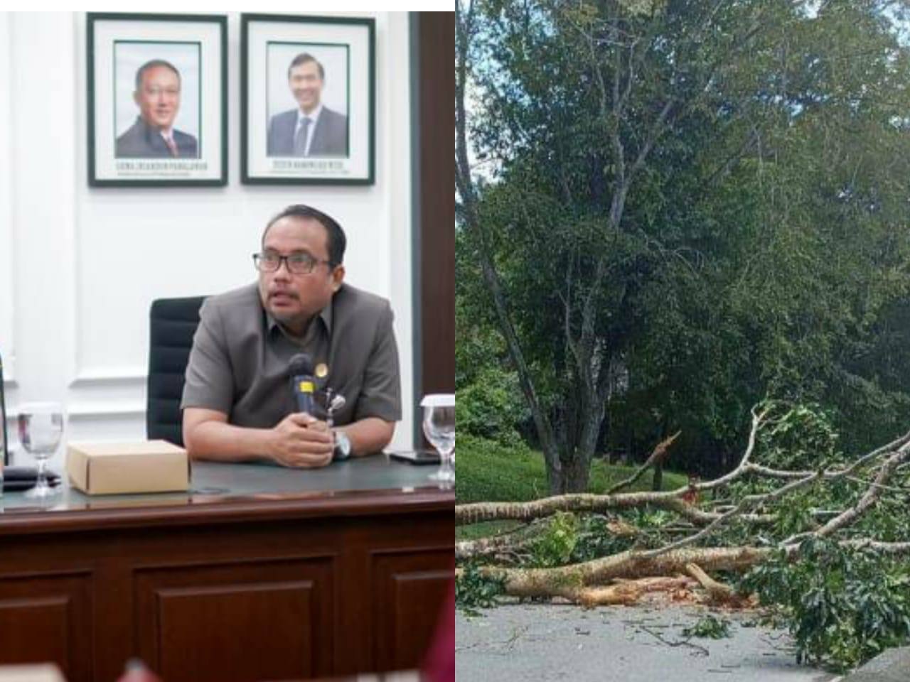 Abdul Samad Minta DLH Pangkas Pohon Rawan Tumbang