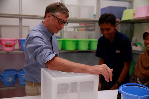 Bill Gates: Nyamuk Binatang Paling Mematikan