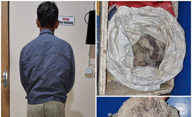 Simpan Daging Penyu 50kg, Nelayan di Berbas Pantai Ditangkap
