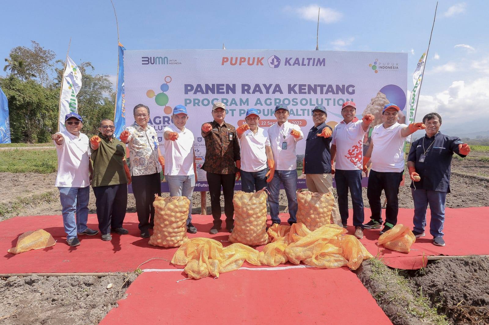Panen Kedua Agrosolution PKT, Produktivitas Kentang di Malang Capai 33,9 Ton