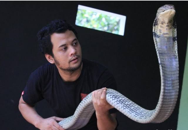 Panji Sang Petualang bakal Hadir di Bontang Animal Fest, Catat Tanggalnya