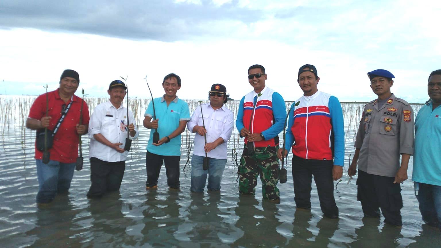 Komitmen Jaga Lingkungan, PT EUP Tanam 5.000 Mangrove