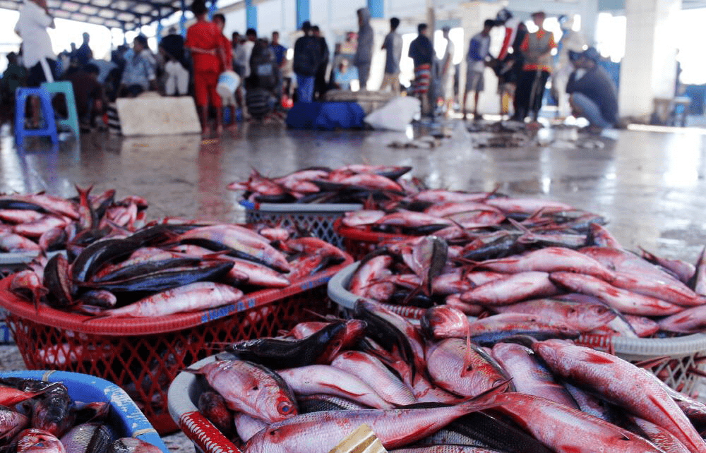 Nilai Produksi Perikanan Bontang Turun 3,79 Persen