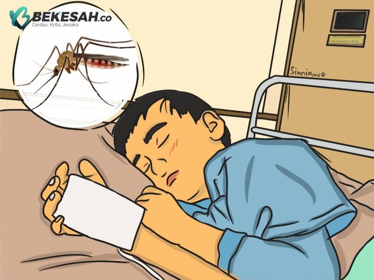 Warga Bontang! Waspada DBD, Nyamuk Mematikan Mulai Berkembang Biak