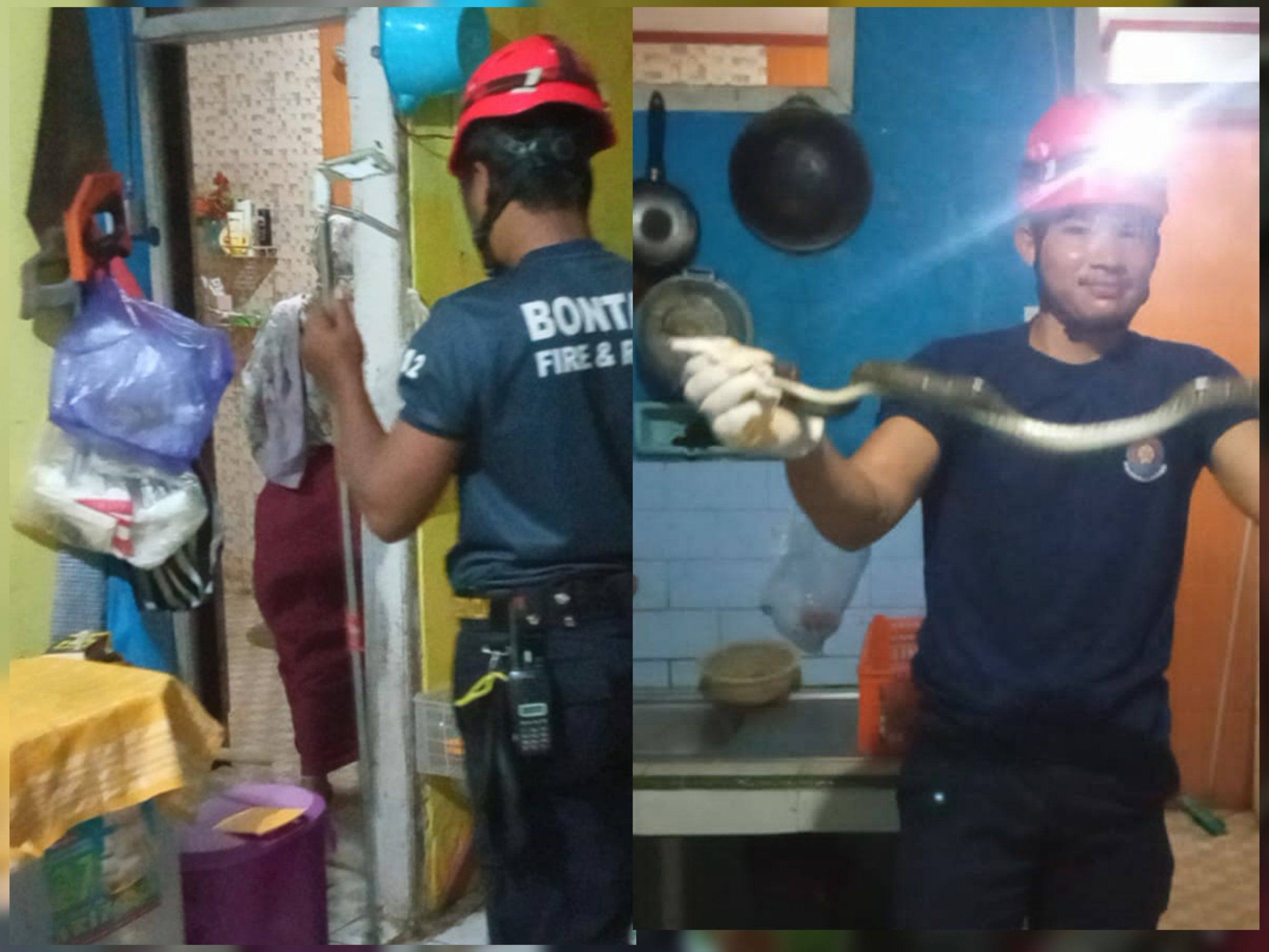Mau Masak untuk Buka Puasa, Warga Tanjung Laut Histeris Ular Muncul di Dapur