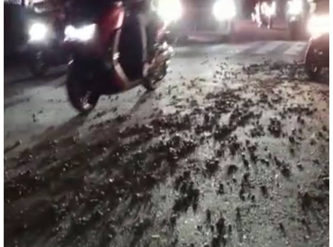 Tumpahan Koral Berserakan di Jalan Tembus, Ojek Online Jadi Korban