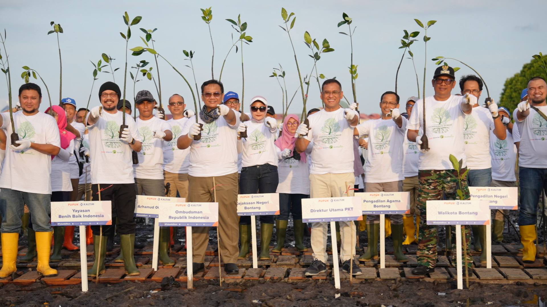 Komitmen Dorong Dekarbonisasi, PKT Gandeng TNK dan Benih Baik Tanam 500 Ribu Bibit Mangrove