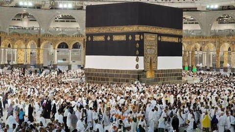 Tertinggi dalam 5 Tahun Terakhir, Jumlah Jemaah Haji Wafat Capai 701 Orang