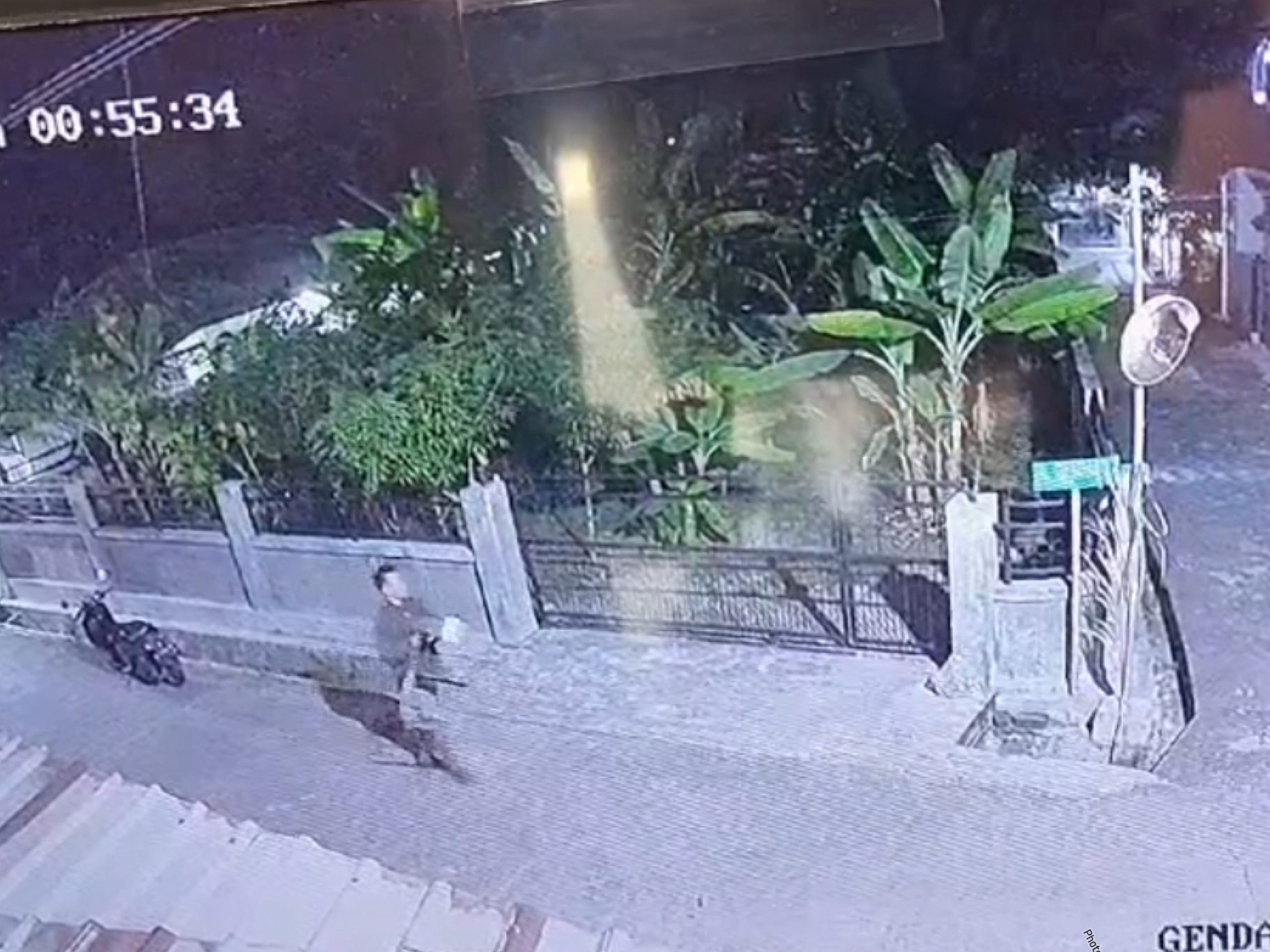 Detik-detik Pria Curi Sarang Burung di Tanjung Limau Bontang Terekam CCTV