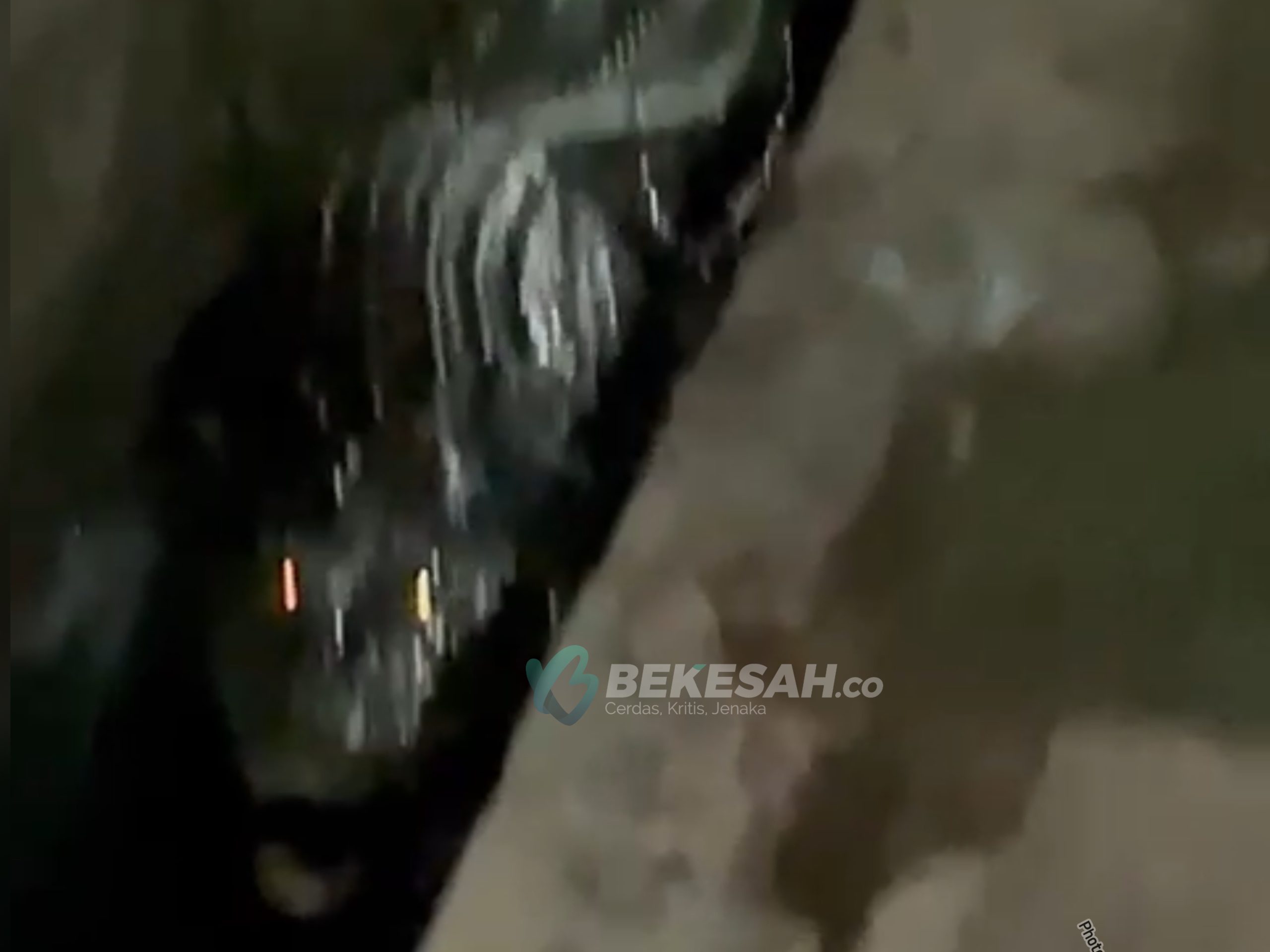 Buaya Berukuran 3 Meter Nyebrang Lewat Jalan Raya Bontang Kuala, Hebohkan Warga