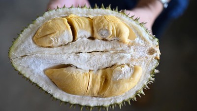 Lagi Musim Durian, 6 Makanan yang Tidak Boleh Disantap Bersama Buah Ini
