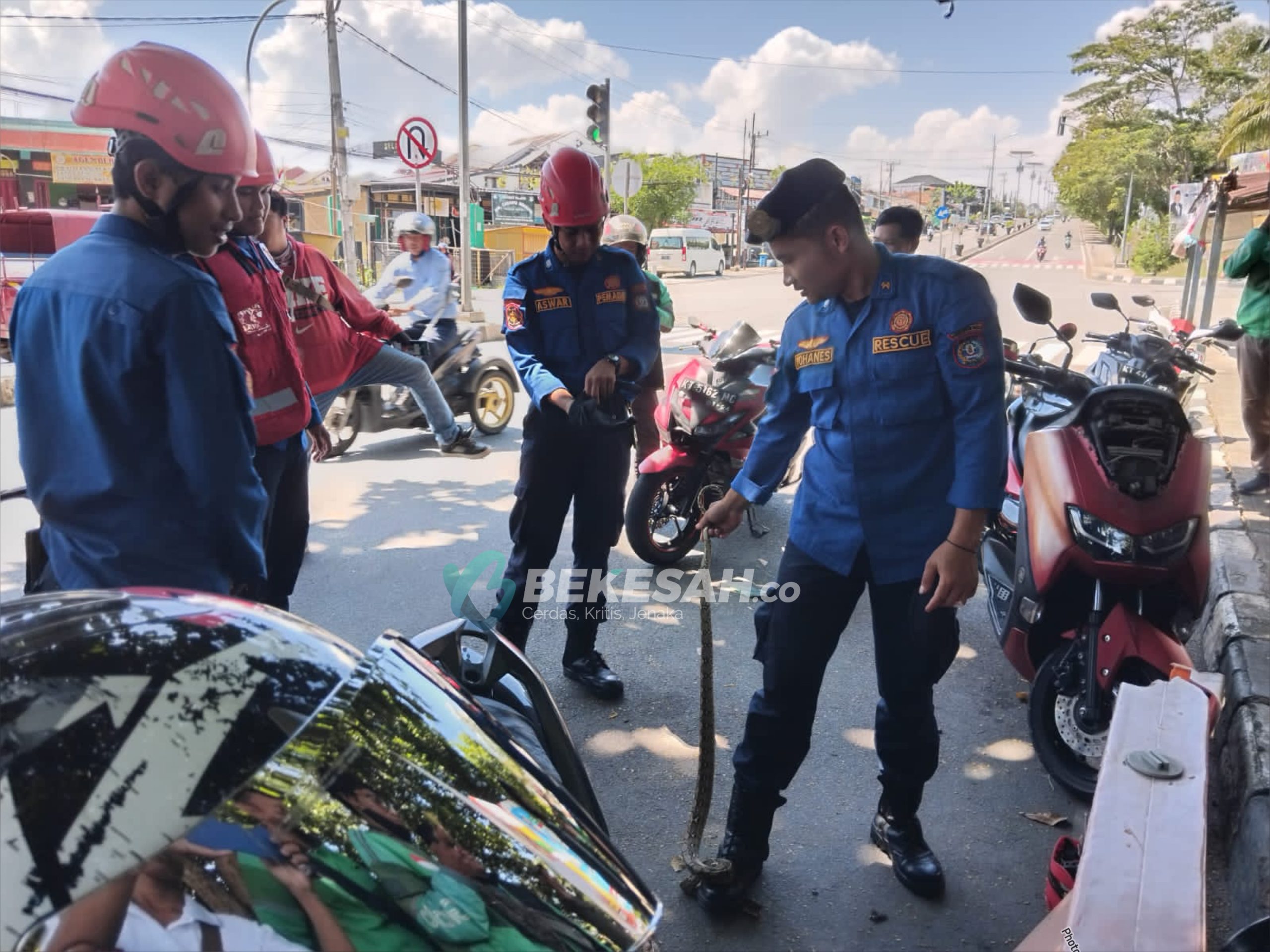 Ular Piton Muncul di Motor Ojol Bontang saat Pengantaran ke BSD