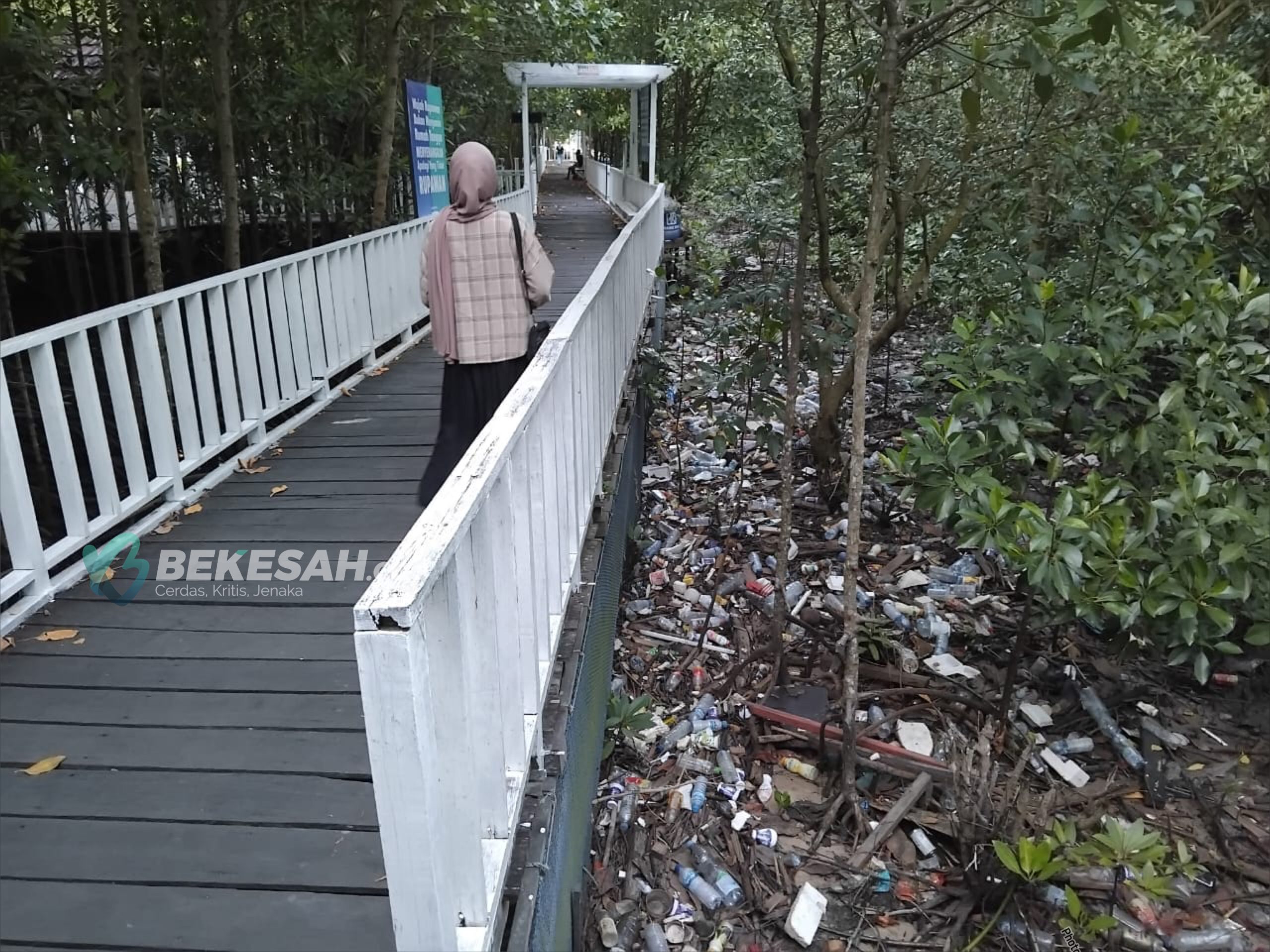 Mangrove Berbas Dipenuhi Sampah Plastik, Ini Kata Dispopar Bontang