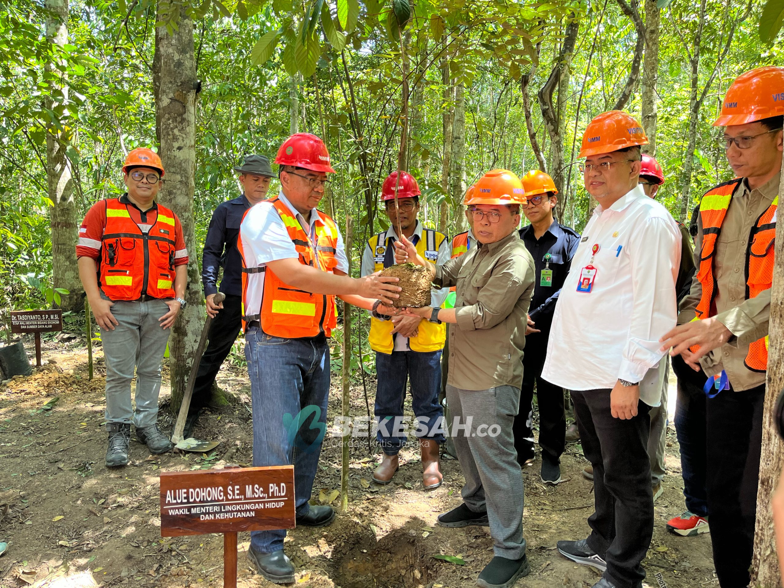 Wakil Menteri LHK Kunjungi Area Bekas Tambang Indominco, Takjub Fungsi Hutan Sudah Kembali