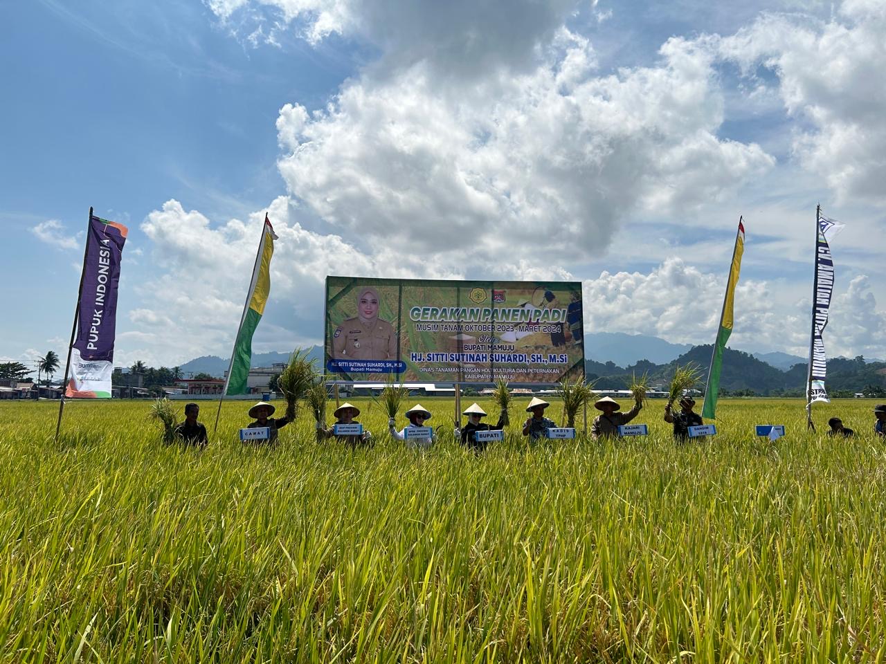 Hadirkan Produk Berkualitas, Pupuk Kaltim Dukung Produktivitas Padi Mamuju Pasca El Nino
