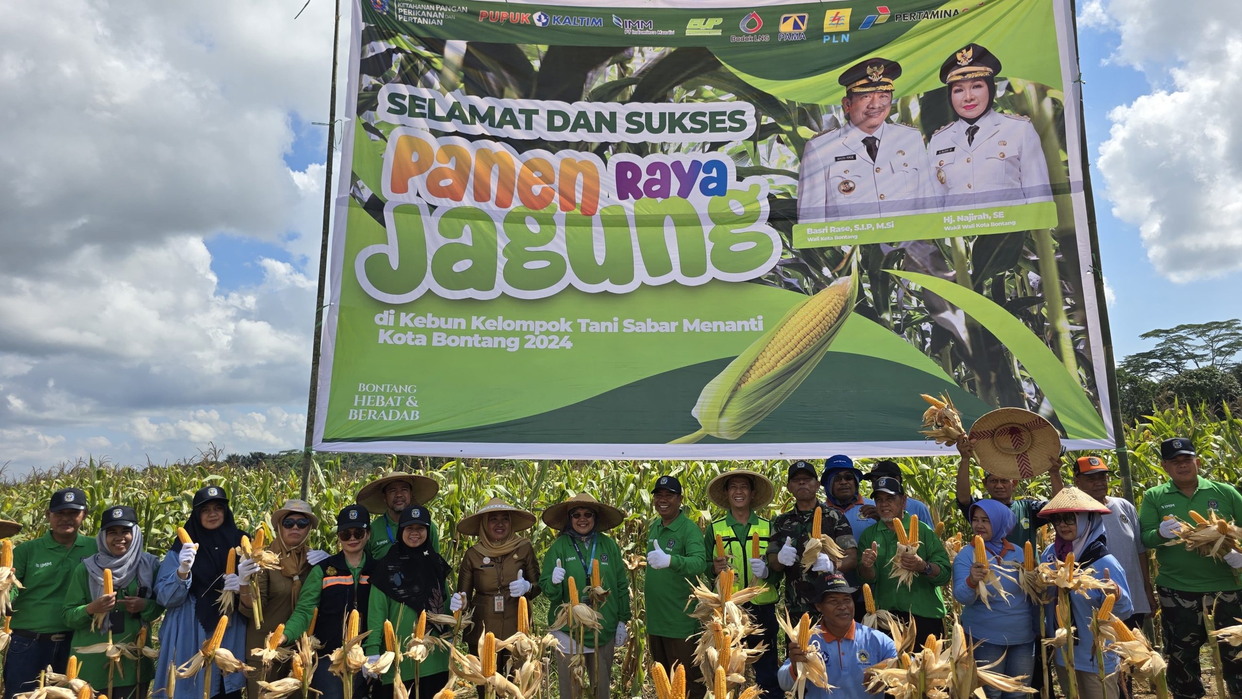 Kelompok Tani Sabar Menanti Panen Raya Jagung 7 Ton