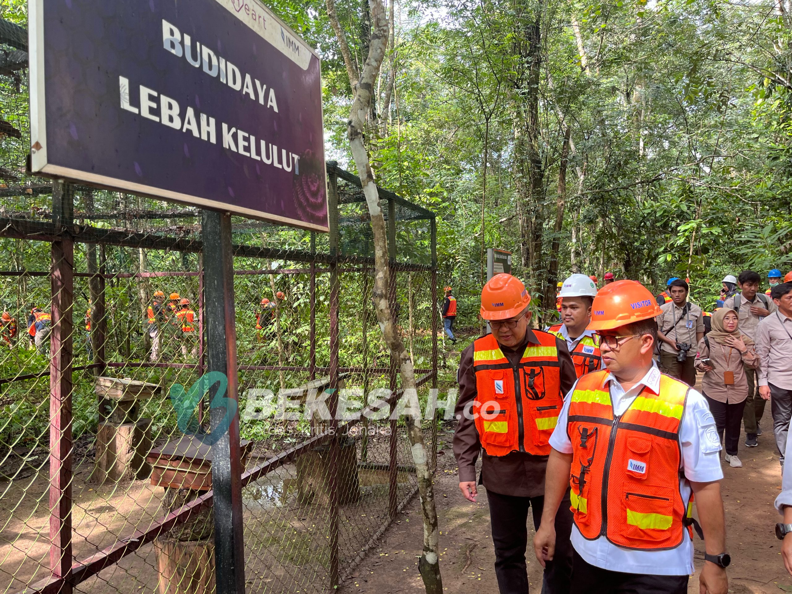 Pj Gubernur Kaltim Berkunjung ke Kawasan Konservasi PT Indominco Mandiri, Susur Arboretum dan Tanam Mangrove