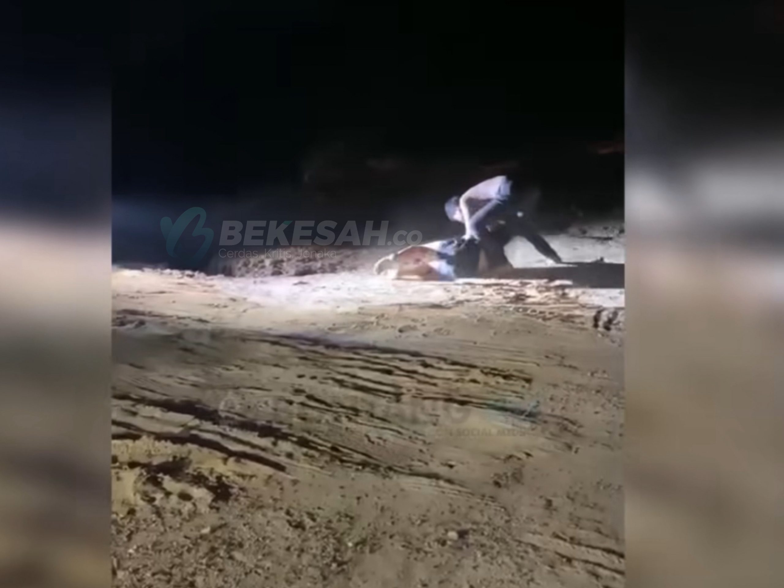 Viral Perkelahian Remaja di Pesona Bukit Sintuk, Polres Bontang Ambil Alih Penyelidikan