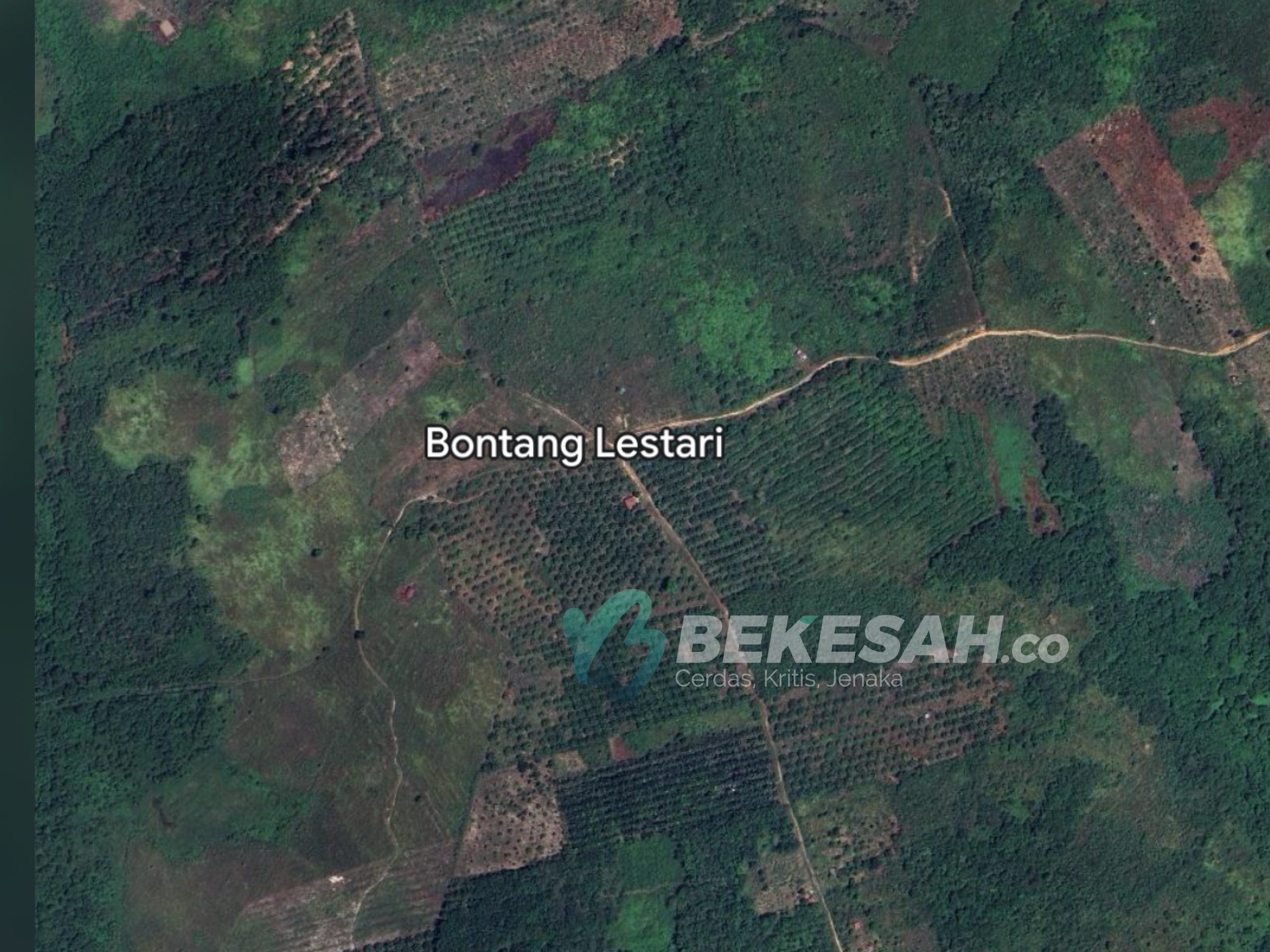 Pengamat: Pembebasan 704 Hektare Lahan Murah di Bontang Perlu Dikaji Ulang